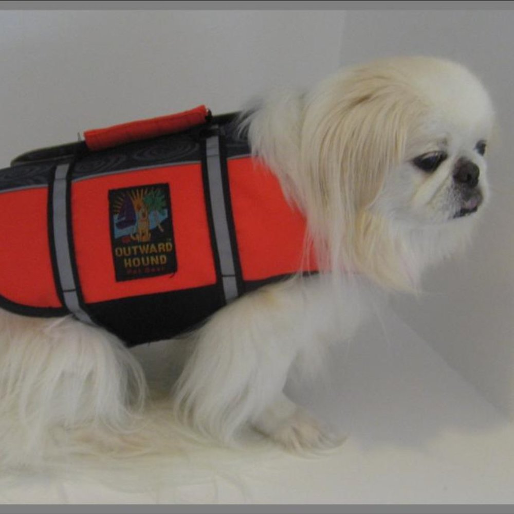 Outward Hound Life Jacket - Dog not Included